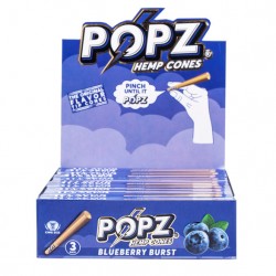 Popz Cones-Blueberry Burst...
