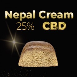 Nepal Cream Hash Cbd