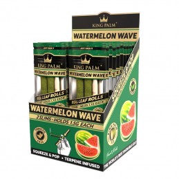 King Palm Watermelon Wave -...