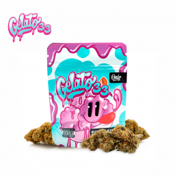 Flor de CBD Gelato 33 1gr....