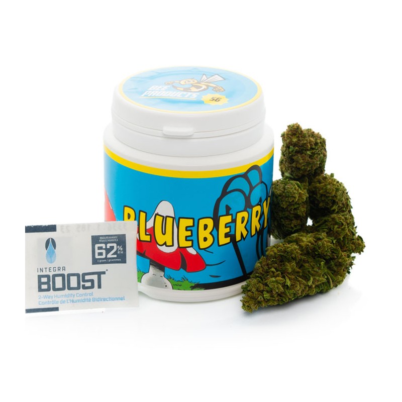 Flor de CBD Blueberry 3gr. Bee Products