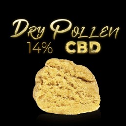 Dry Polen Hash Cbd 2 Gr.