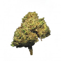 Mini Buds Cannatonic 15gr....