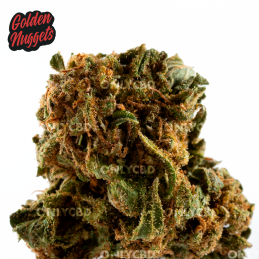 Mini Buds CBD Golden Nuggets. Only CBD