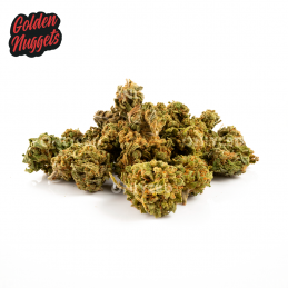 Mini Buds CBD Golden Nuggets. Only CBD