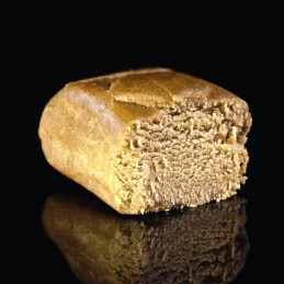 Pack EVA CBD con REGALO