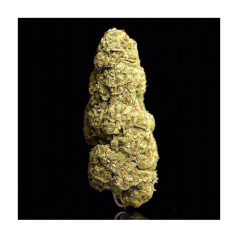 Flor de CBD Gelato Big Buds 5gr. Selected