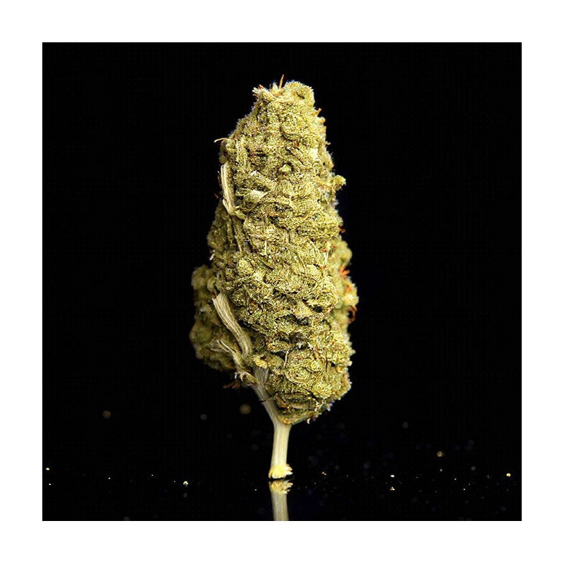 Flor de CBD Og Kush Big Buds 2gr. Selected