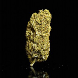 Flor de CBD - Amnesia Big Buds 2gr. Selected