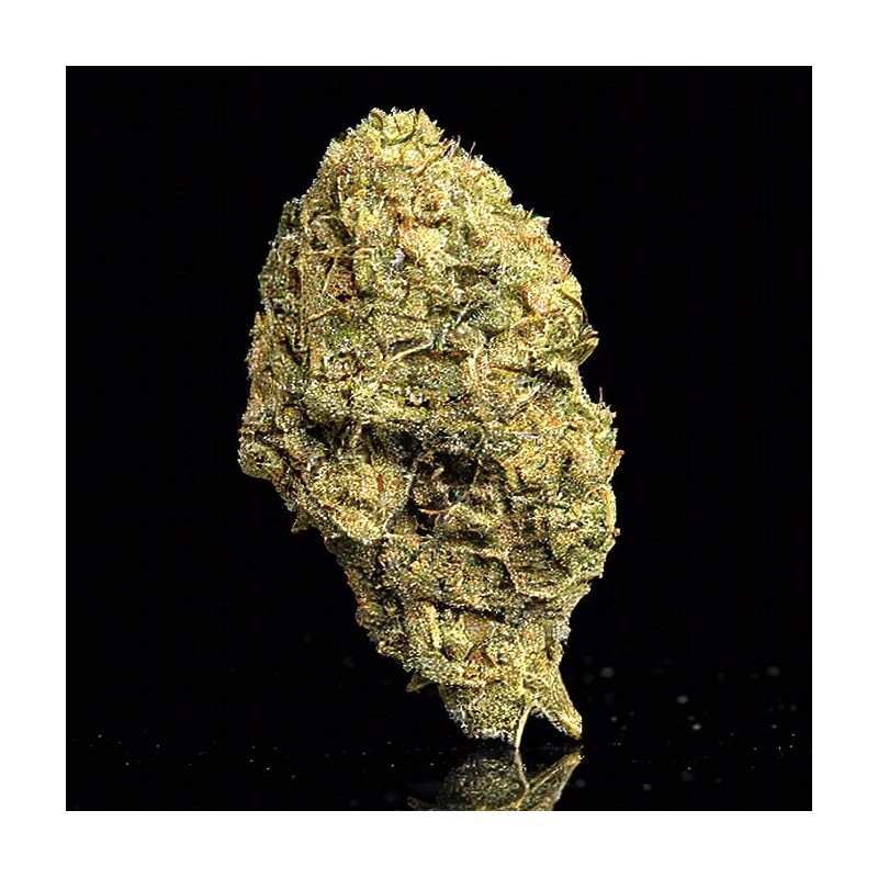 Flor de CBD  Zkittlez Big Buds 5gr. Selected