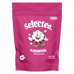 Flor de CBD - Amnesia Big Buds 2gr. Selected