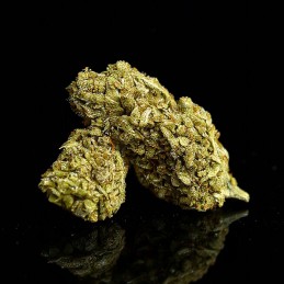 Pack Selected Cbd Hash & Flowers