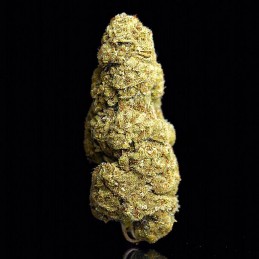 Pack Selected Cbd Hash & Flowers