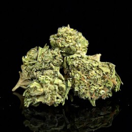 Pack Selected Cbd Hash & Flowers