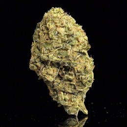 Pack Selected Cbd Hash & Flowers