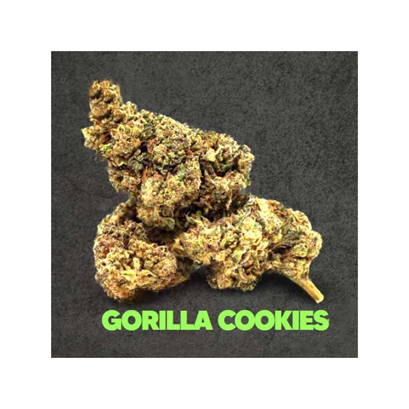 Flor Magic Sauce Gorilla Cookies 1g – 50% Magic Sauce