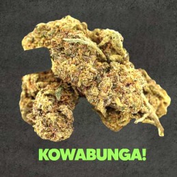 copy of Hemp Flower Caviar Haze 1g - 50% MS