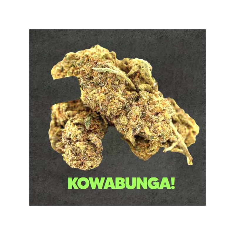 Flor Magic Sauce Kowabunga 1g – 50% Magic Sauce