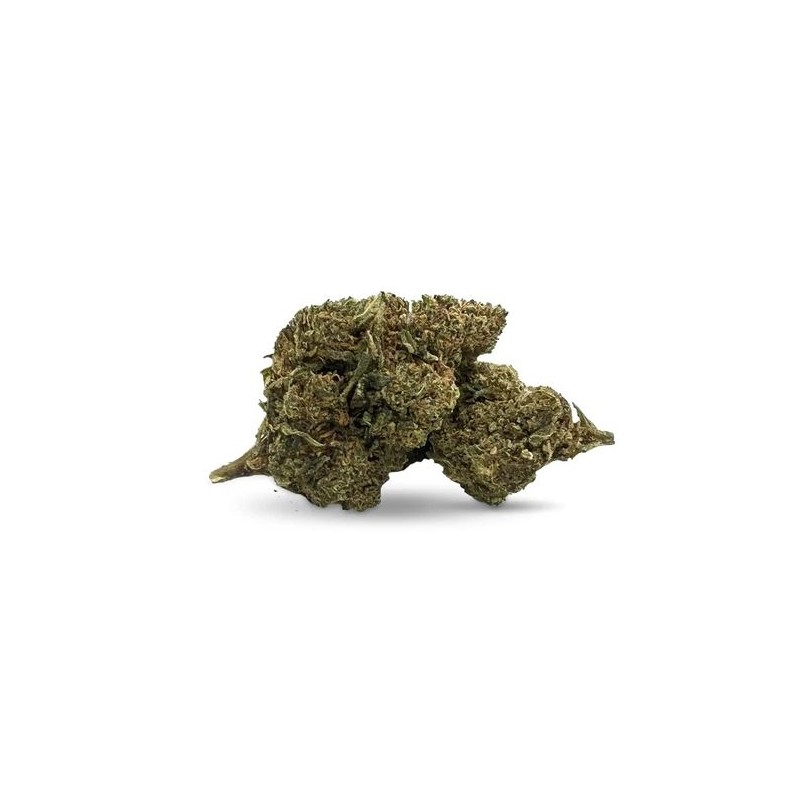 Flor de 10-OH 30% 1gr. Mimosa Magic Farmers