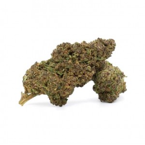 Flor de 10-OH 30% 1gr.Purple Grape Magic Farmers