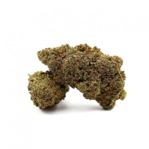 copy of Mimosa. Cogollos de 30% 10-OH 1gr