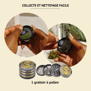 Grinder Bling Dollar Champ High 50mm